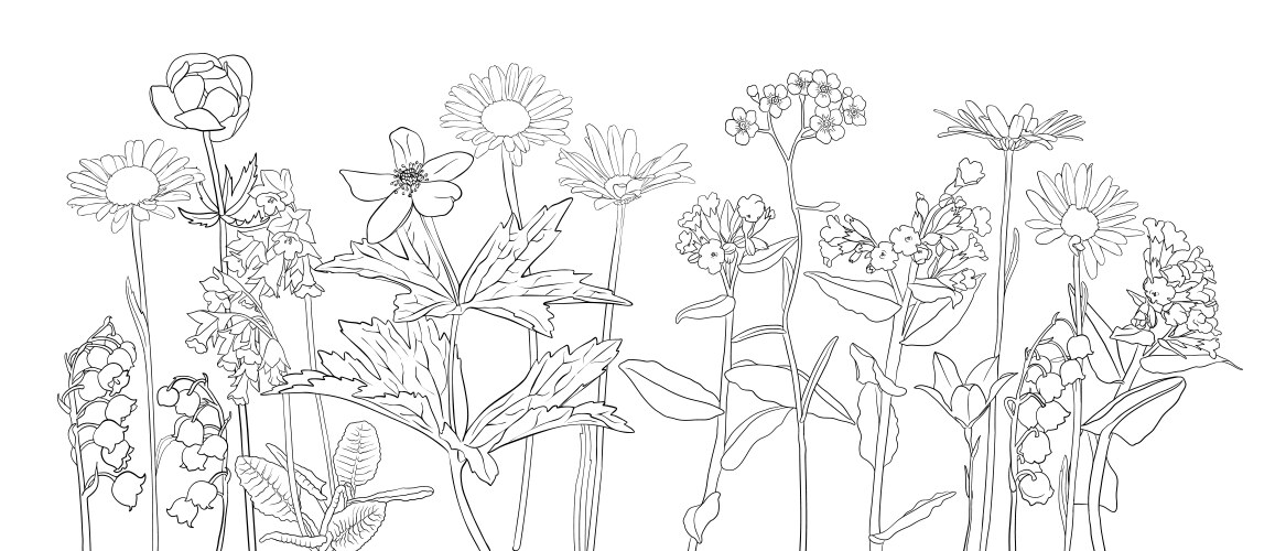 Drawing natural background with flowers Vector Image