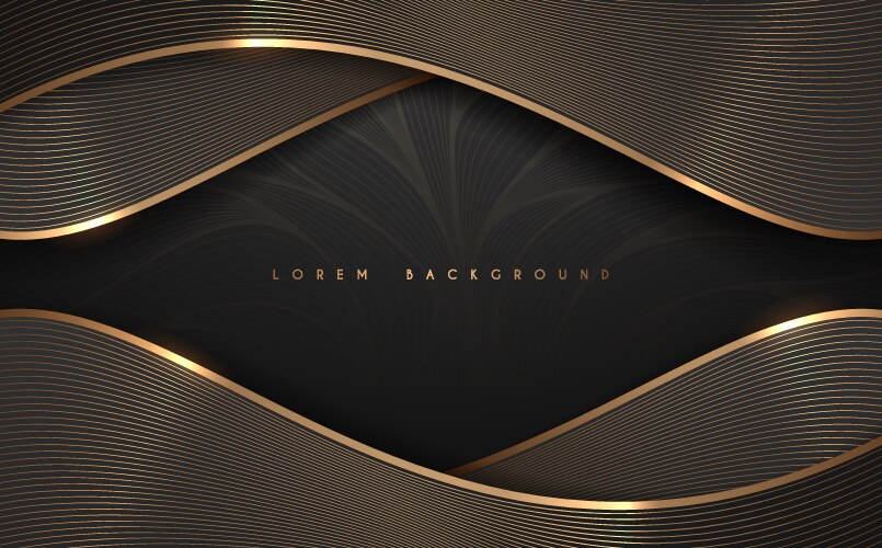 Abstract black and gold lines luxury background vector image