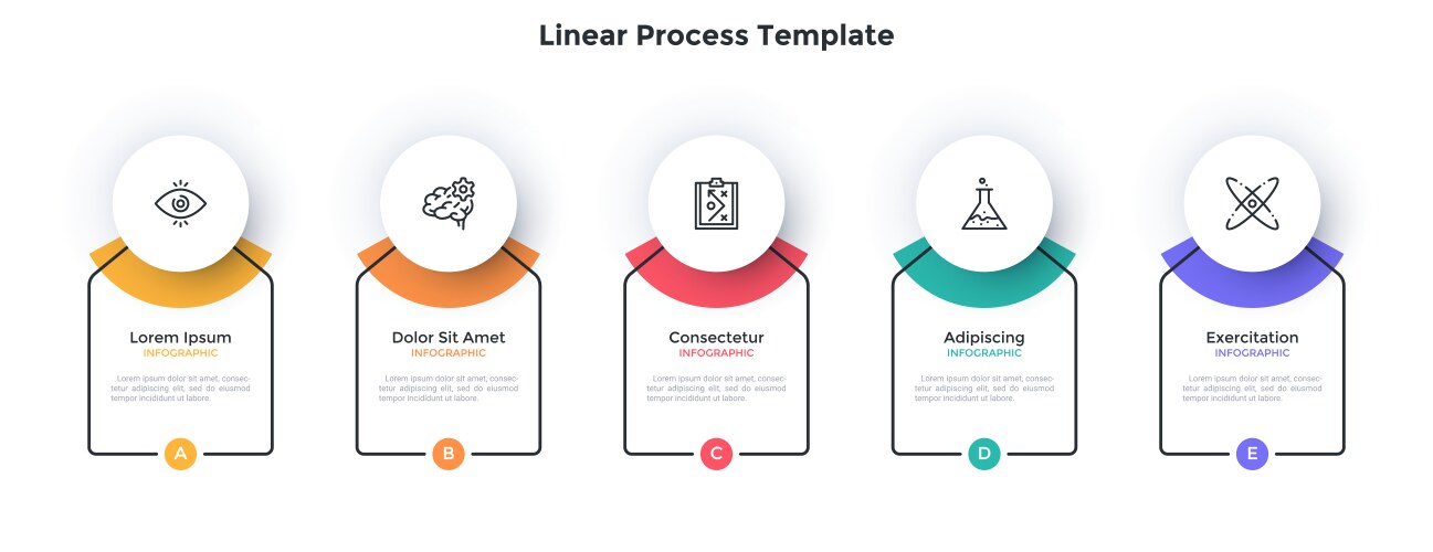 Modern infographic options banner vector image