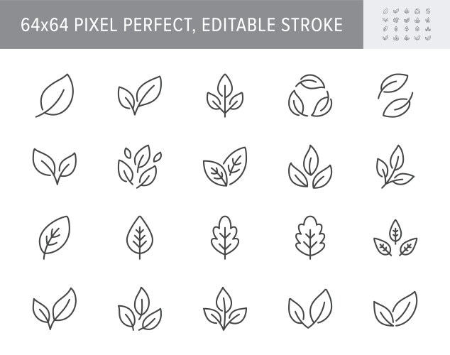 Organic leaf charcoal draw line icons set Vector Image