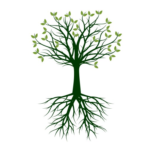Tree with root Royalty Free Vector Image - VectorStock