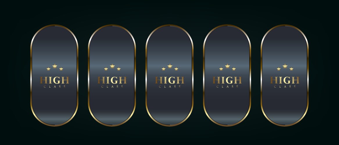 Five dark premium and gold buttons set vector image