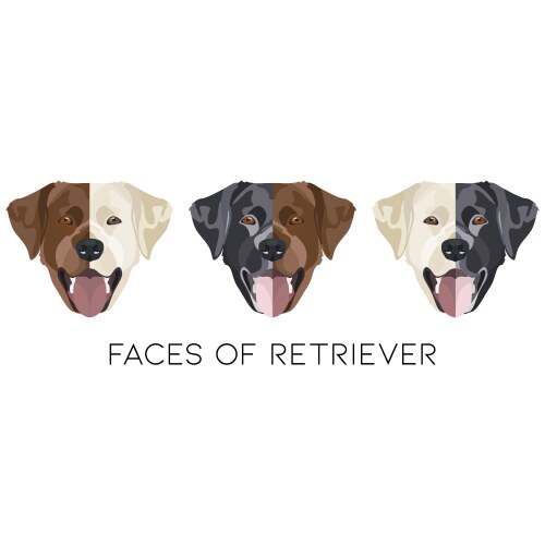 Yellow and black young labrador Royalty Free Vector Image