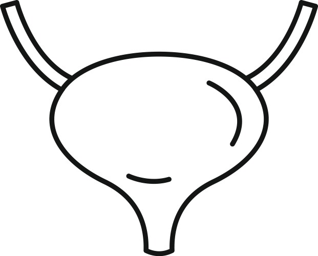 bladder icon outline style vector image