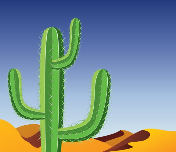Cactus in desert Royalty Free Vector Image - VectorStock