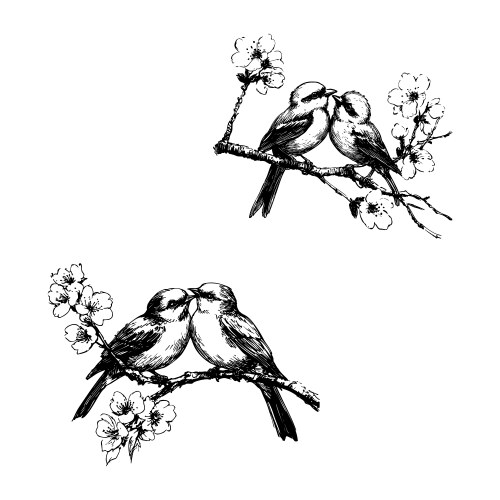 Hand drawn birds couple sitting on sakura Vector Image
