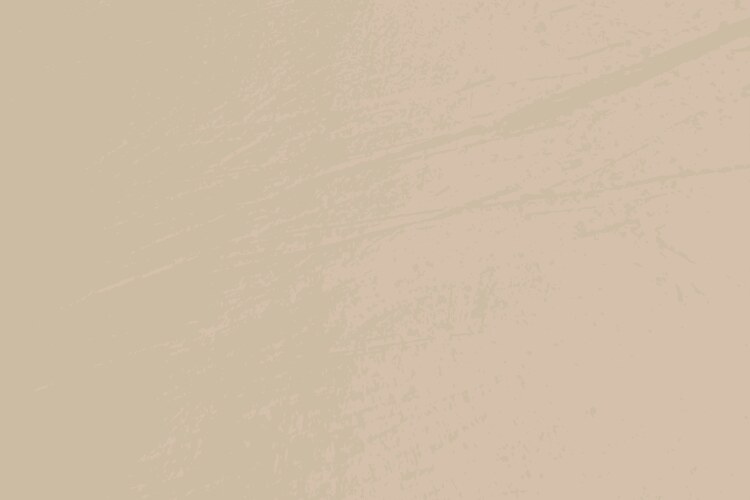 Beige Grunge Texture Background Vector Image