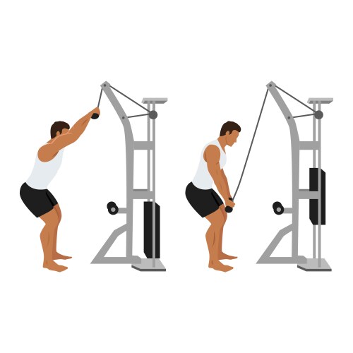Man doing cable triceps kickbacks exercise Vector Image