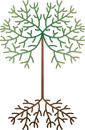 Tree with root infographic Royalty Free Vector Image
