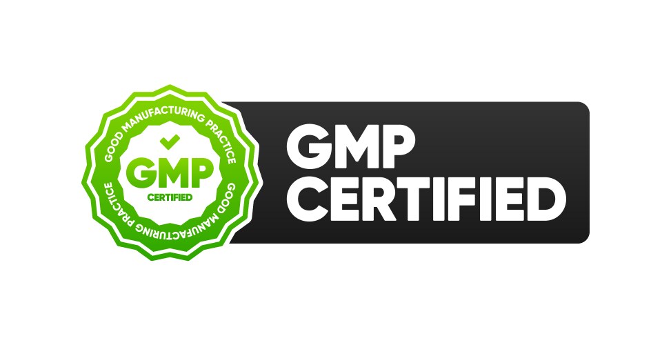 Gmp certified stamp good manufacturing practice vector image