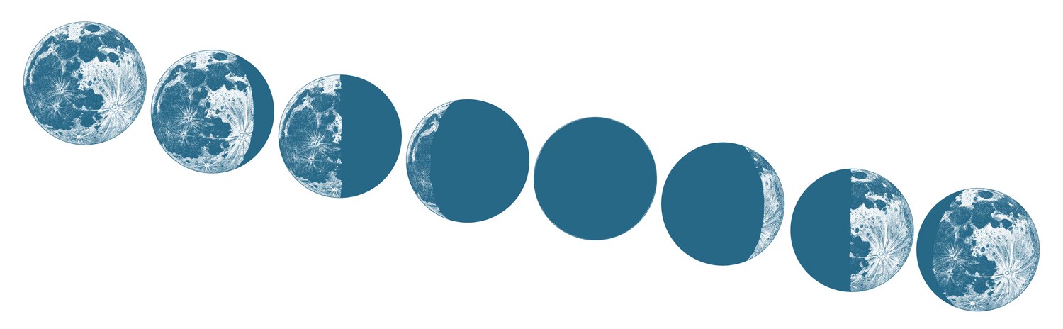 Lunar Phases: Celestial Orbit Vector Image