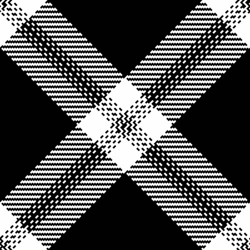Black and white fabric texture tartan pattern Vector Image