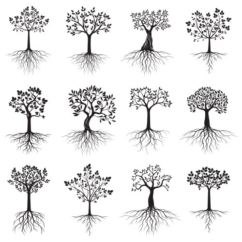 Tree roots set Royalty Free Vector Image - VectorStock