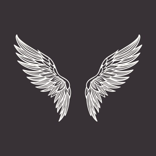 Vintage Angel Wings Icon Vector Image