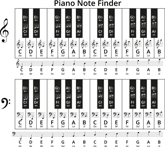 Piano chords or key notes chart on white Vector Image