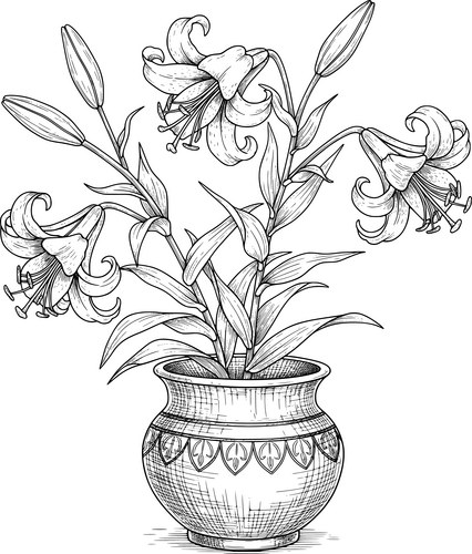 Detailed Lilies in a Decorative Pot Vector Image