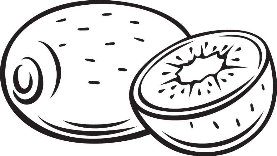 kiwi fruit outline icon vector