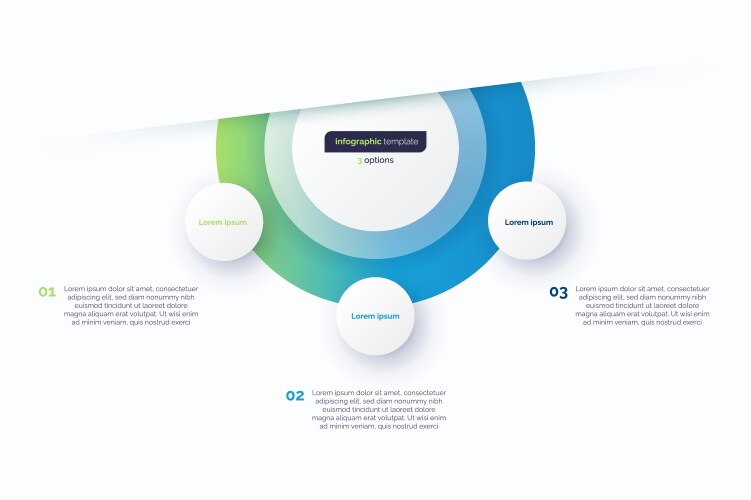 three option circle infographic design template vector image