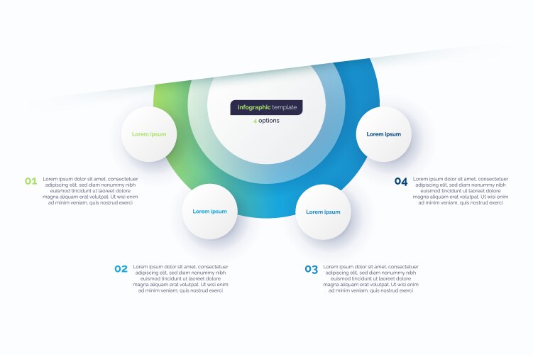 four option circle infographic design template vector image