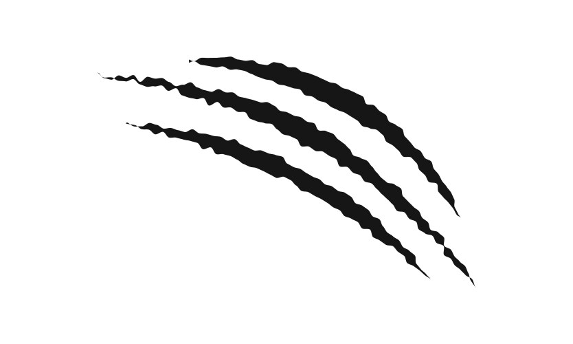 Scratch claw marks tiger bear wolf panther Vector Image