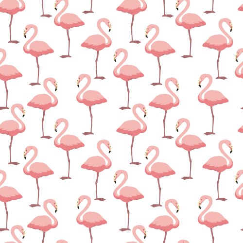 Flamingo outline drawing Vector Images & Graphics for Commercial