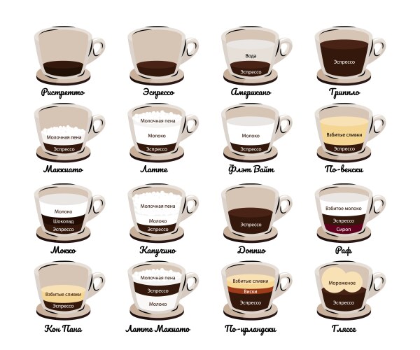 Types of coffee drinks vector image