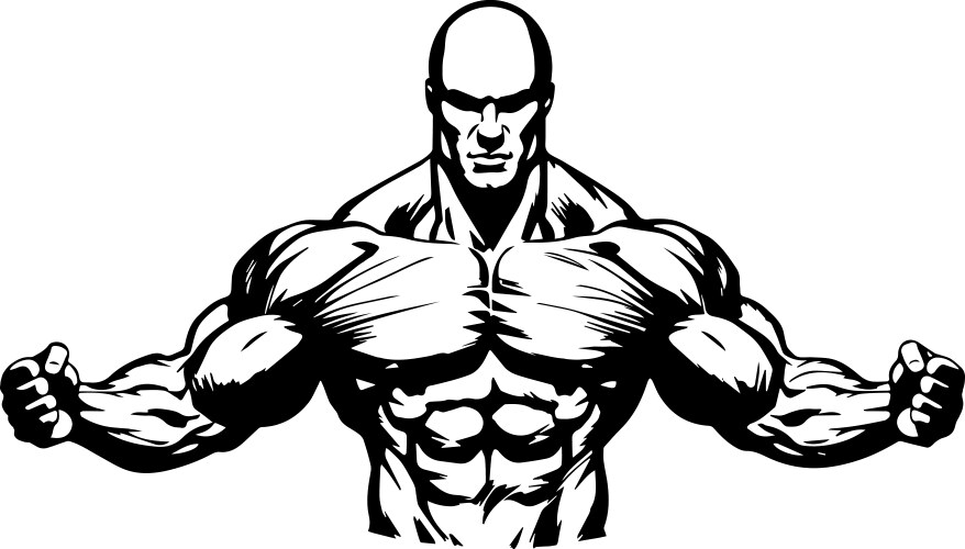 Muscular torso in drawing stencil Vector Image
