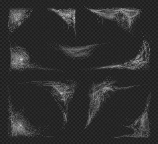 Spider web frames with tangled net cobweb border vector image