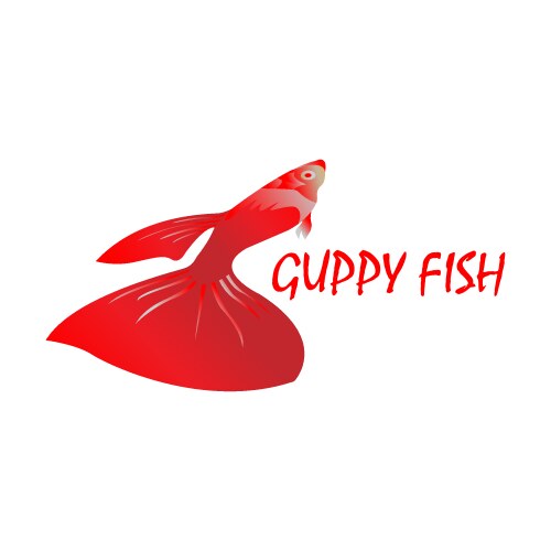 modern guppy fish logo concept vector image