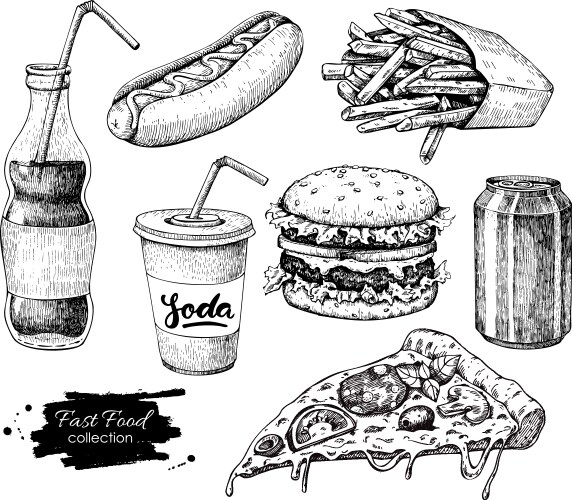 Hand Drawn Food & Drink Set Vector Image