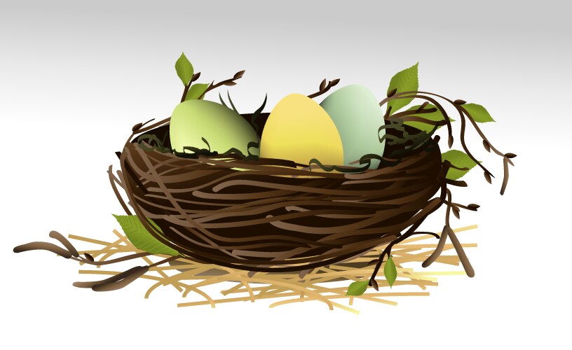 Hen laying eggs in its nest on white background Vector Image
