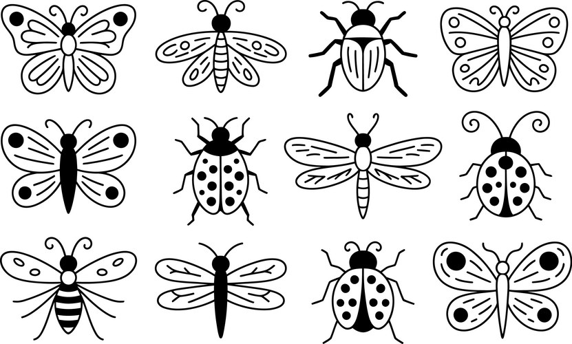 Hand-Drawn Insects - Butterflies & Bugs Vector Image