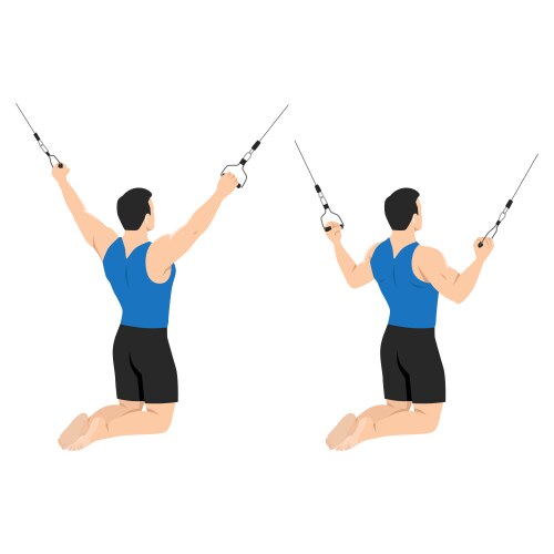 Man doing kneeling cable lat pulldown exercise vector image