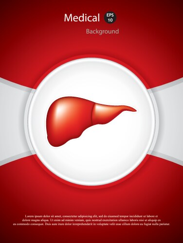 Human internal organ with liver Royalty Free Vector Image