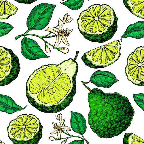 Lemon tree seamless pattern hand drawn fruit Vector Image