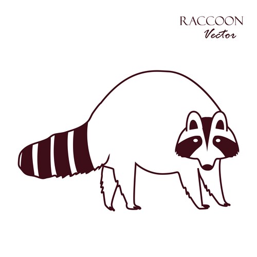 Raccoon icon isolated on white background sketch Vector Image