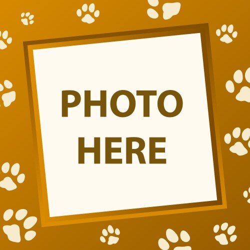 Paw Print Frame Vector Image