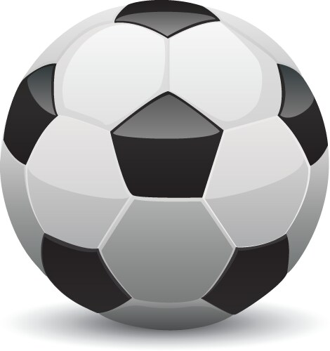 Leather soccer ball Royalty Free Vector Image - VectorStock