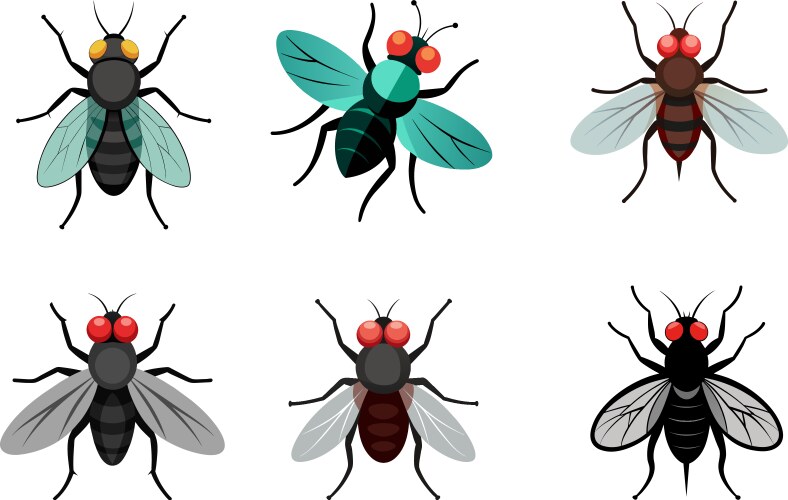 Fly logo icon Royalty Free Vector Image - VectorStock