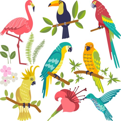 Tropical Elements Royalty Free Vector Image Vectorstock