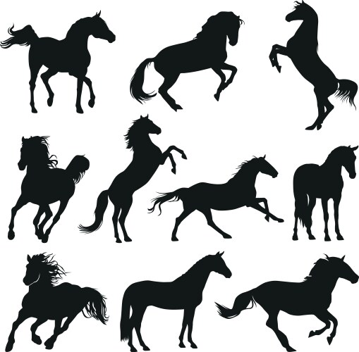 Horse Silhouettes Collection Vector Image