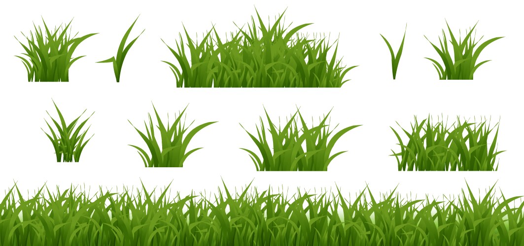 Green grass set isolated on white background Vector Image