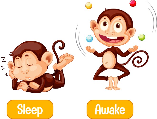 Opposite words with sleep and awake vector image