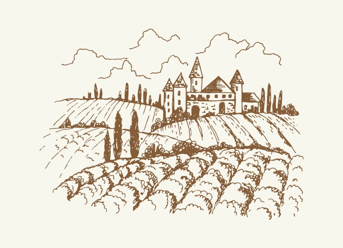 Italian Vineyard Sketch Vector Image