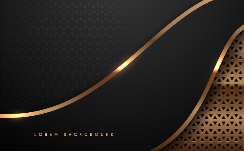 abstract black and gold luxury background vector image