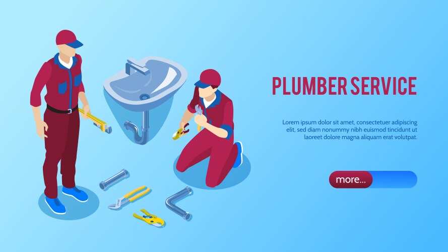 Plumbing service horizontal banner vector image