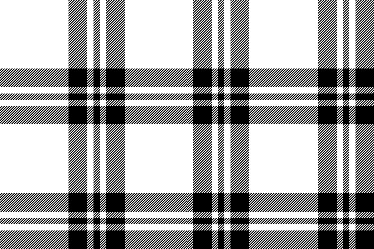 Plaid check pattern in black and white seamless Vector Image