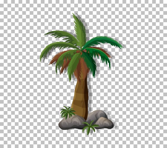 Palm tree on transparent background Royalty Free Vector