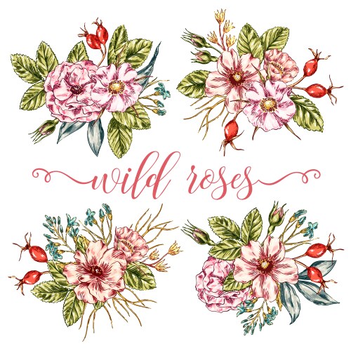 Wild roses bouquets collection Vector Image