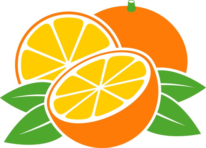 Orange fruit graphic design template isolated Vector Image